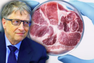 Die FDA genehmigt offiziell das krebserregende Kunstfleisch von Bill Gates für den menschlichen Verzehr