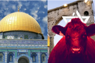 Israel baut einen Altar für das Opfer der roten Färse, um die biblische Endzeitprophezeiung zu erfüllen