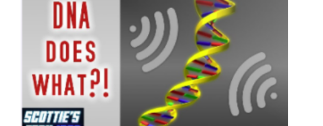 Ist Ihre DNA eine EMF-Antenne?