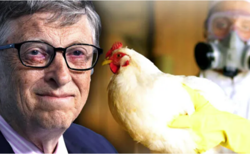 Gates Insider gibt zu, dass die Elite plant, MILLIARDEN mittels Vogelgrippe-Impfstoff einzuschläfern