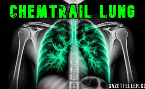 Warnung: „Chemtrail-Lunge“ zur neuen Gesundheitsepidemie erklärt – die tödlichen Folgen von Chemikalienspuren!