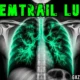 Warnung: „Chemtrail-Lunge“ zur neuen Gesundheitsepidemie erklärt – die tödlichen Folgen von Chemikalienspuren!