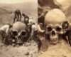 VIDEO In Rumänien haben sie die riesigen Skelette entdeckt!