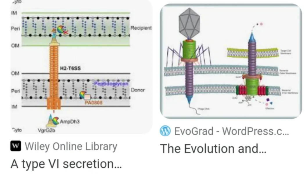 Virus ist eine nanotechnologische Technologie