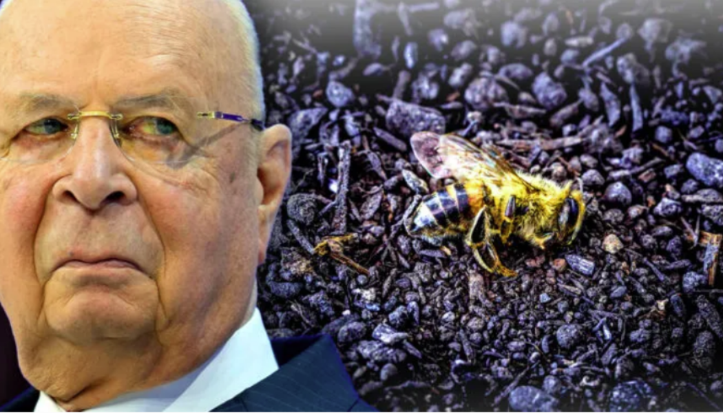 WEF ordnet an, dass Regierungen Millionen Bienen verbrennen, um eine „globale Hungersnot“ herbeizuführen