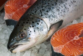 Vorsicht vor gentechnisch verändertem Lachs.