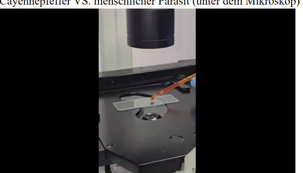 Cayennepfeffer VS. menschlicher Parasit (unter dem Mikroskop)