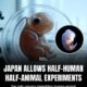 Japan erlaubt Hybride aus Mensch und Tier Die Geburt der Chimära?
