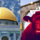 Israel bereitet sich auf das historische Opfer einer roten jungen Kuh vor – ein Zeichen der Endzeit?