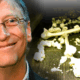 Bill Gates: Menschliche Überreste in die Lebensmittelversorgung gepumpt