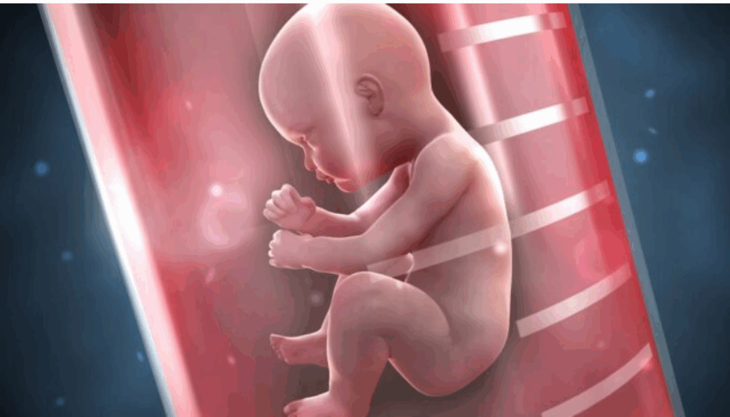 „Tech-Titanen“ erschaffen genmanipuliertes Baby