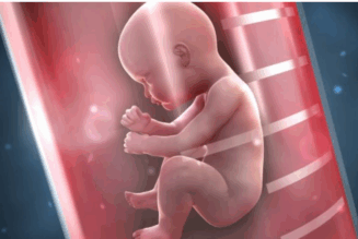 „Tech-Titanen“ erschaffen genmanipuliertes Baby