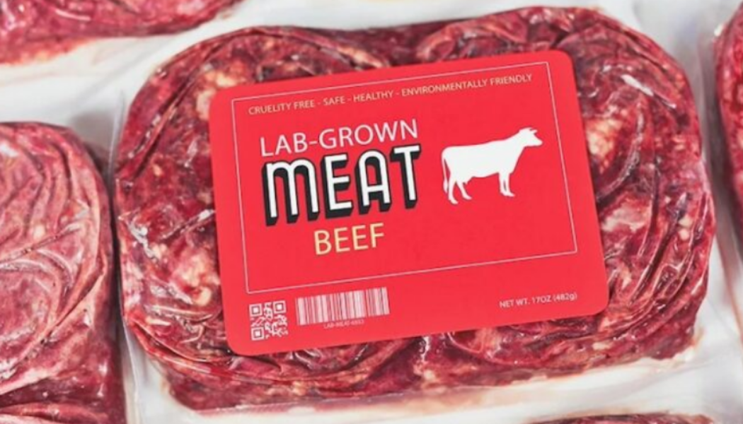 Die Eliten von Davos fordern ein Verbot von echtem Fleisch und die Zwangsernährung der Massen mit im Labor gezüchtetem Futter.