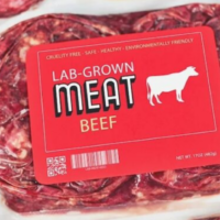 Die Eliten von Davos fordern ein Verbot von echtem Fleisch und die Zwangsernährung der Massen mit im Labor gezüchtetem Futter.