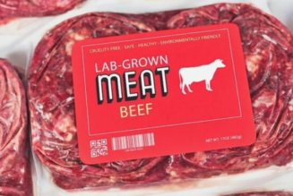 Die Eliten von Davos fordern ein Verbot von echtem Fleisch und die Zwangsernährung der Massen mit im Labor gezüchtetem Futter.