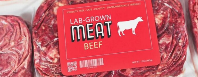 Die Eliten von Davos fordern ein Verbot von echtem Fleisch und die Zwangsernährung der Massen mit im Labor gezüchtetem Futter.