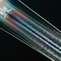 Freigegebene Dokumente enthüllen CIA-Plan zur Waffe im Bereich Geoengineering