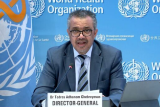 WHO forciert Einführung der digitalen Gesundheits-Wallet